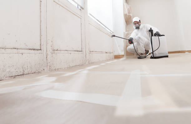 24/7 Emergency Mold Removal experts in Wycombe, PA